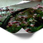 Tulip Tree Poster #2 (Ecke)