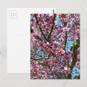 Tulip Tree Postkarte (Vorne/Hinten)