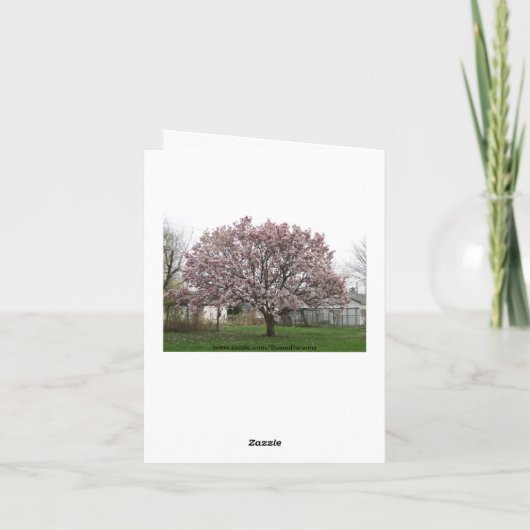 Tulip Tree Spring Has Sprung Karte (Rückseite)