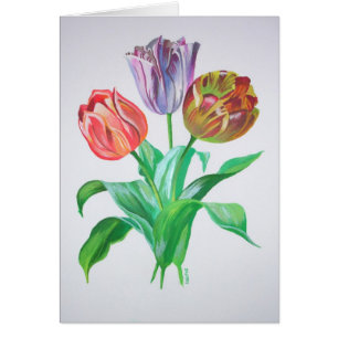 Tulip Trio Blume