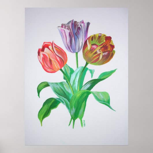 Tulip Trio Blume Poster (Vorne)