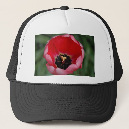 Tulip Truckerkappe (Vorderseite)