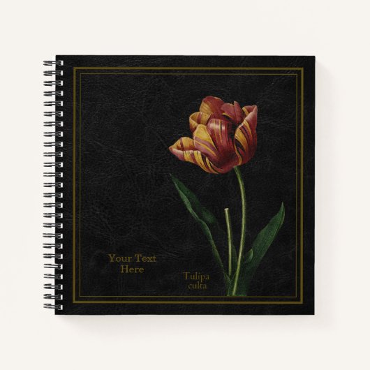 Tulip (Tulipa culta) Black Notebook Notizblock (Vorderseite)
