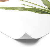 tulip(Tulipa culta) von Redouté Poster (Ecke)