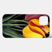 Tulip (Tulipa Gesneriana) Case-Mate iPhone Hülle (Rückseite (Horizontal))