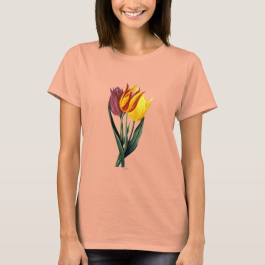 Tulip (Tulipa Gesneriana) T-Shirt (Vorderseite)