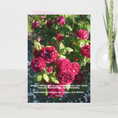 Tulip Tulips Red Pink Blume Floral Geburtskarte Karte (Rückseite)