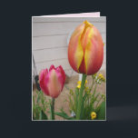 Tulip Tulips Red Pink Blume Floral Geburtskarte Karte<br><div class="desc">Tulip Tulips Red Pink Blume Floral Geburtstagskarte. Entworfen aus einem meiner ursprünglichen Blumengartenfotos & meine ursprüngliche Schrift,  genießen Sie!</div>