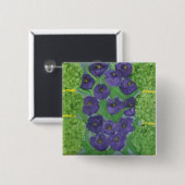 Tulip und Boxwood Button (Vorne & Hinten)