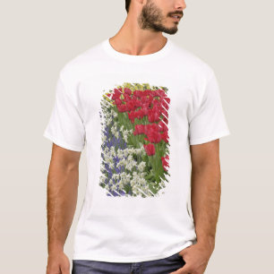 Tulip und daffodischer Garten, Keukenhof Gardens, T-Shirt