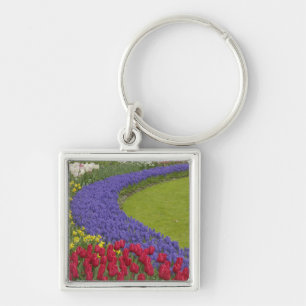 Tulip und Grape Hyacinth und daffodischer Garten, Schlüsselanhänger