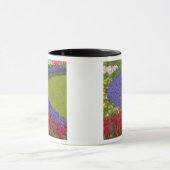 Tulip und Grape Hyacinth und daffodischer Garten, Tasse (Zentrum)