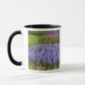 Tulip und Hyacinth Garten, Keukenhof Gardens, Tasse (Links)