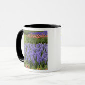 Tulip und Hyacinth Garten, Keukenhof Gardens, Tasse (Vorderseite Links)