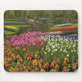 Tulip und Hyazinth Garten, Keukenhof Gardens, Mousepad (Vorne)