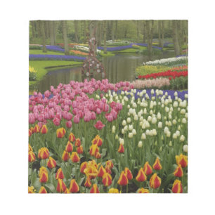 Tulip und Hyazinth Garten, Keukenhof Gardens, Notizblock