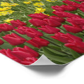Tulip und Traubenblütengarten, Poster (Ecke)