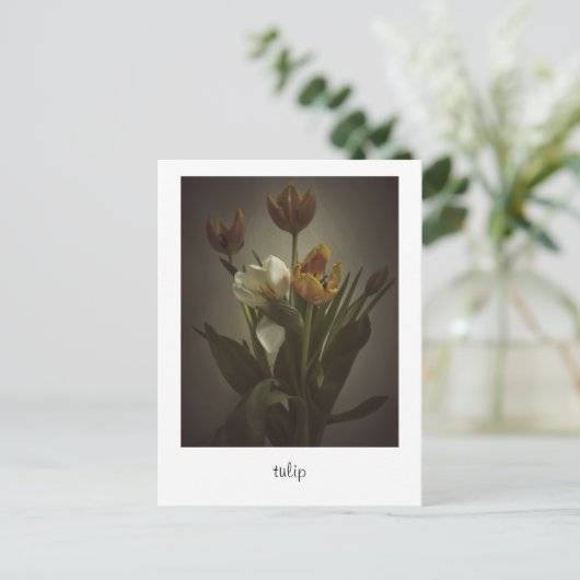 "tulip" von Heidi Rondak Fotografy Postkarte (Stehend Vorderseite)