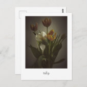 "tulip" von Heidi Rondak Fotografy Postkarte (Vorne/Hinten)