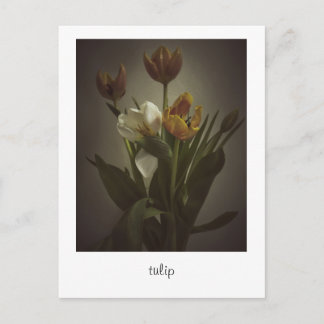 "tulip" von Heidi Rondak Fotografy Postkarte