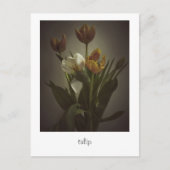 "tulip" von Heidi Rondak Fotografy Postkarte (Vorderseite)