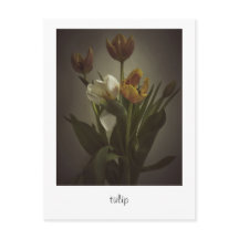 "tulip" von Heidi Rondak Fotografy