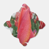 Tulip Water Drops Blume Nehmen Sie die Gesichtsbox Geschenkschachtel (Ungefaltet)