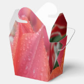Tulip Water Drops Blume Nehmen Sie die Gesichtsbox Geschenkschachtel (Geöffnet)