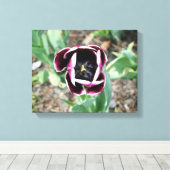 Tulip Wrapped Canvas Leinwanddruck (Insitu (Holzboden))