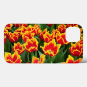 Tulipa Fabio, Keukenhof, Netherlands Case-Mate iPhone Hülle (Rückseite (Horizontal))