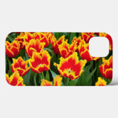 Tulipa Fabio, Keukenhof, Netherlands Case-Mate iPhone Hülle (Rückseite (Horizontal))