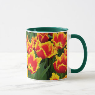 Tulipa Fabio, Keukenhof, Niederlande Tasse