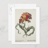 Tulipa Monstrosa Rubra Maior von "Phythanthoza Ic Postkarte (Vorne/Hinten)