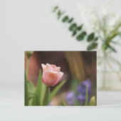 Tulipa Postkarte (Stehend Vorderseite)