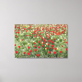 Tulipenbett Leinwanddruck