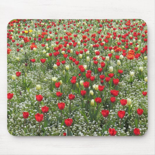 Tulipenbett Mousepad (Vorne)