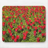 Tulipenbett Mousepad (Vorne)