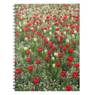 Tulipenbett Notizblock