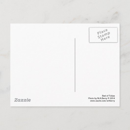 Tulipenbett Postkarte (Rückseite)