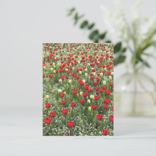 Tulipenbett Postkarte (Stehend Vorderseite)