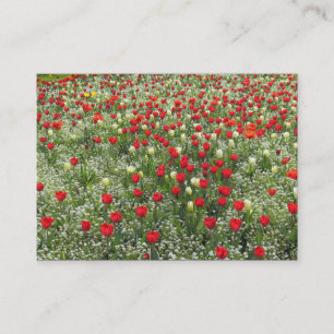 Tulipenbett Visitenkarte