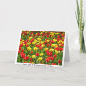 Tulipenmeer Karte (Rückseite)