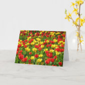 Tulipenmeer Karte (Gelbe Blume)