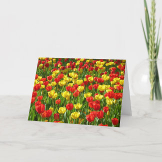 Tulipenmeer Karte