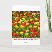 Tulipenmeer Karte (Rückseite)