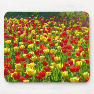 Tulipenmeer Mousepad