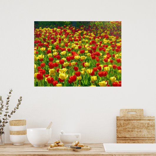 Tulipenmeer Poster (Küche)