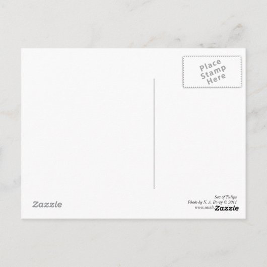 Tulipenmeer Postkarte (Rückseite)