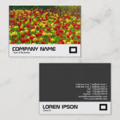 Tulipenmeer Visitenkarte (Vorne/Hinten)