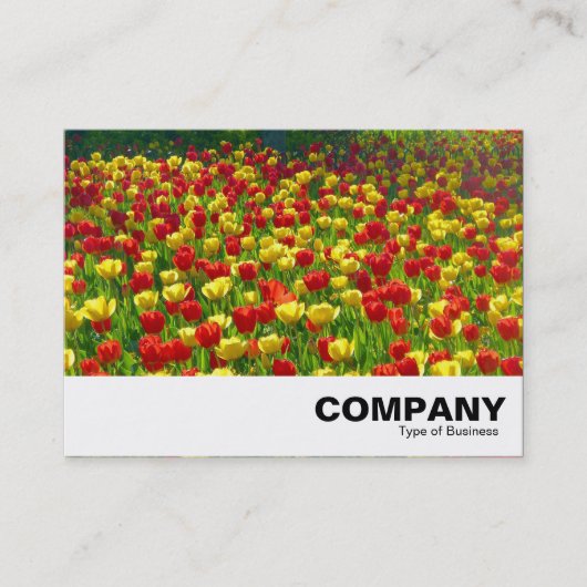 Tulipenmeer Visitenkarte (Vorderseite)